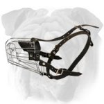Lightweight Wire Basket Dog Muzzle for English Bulldog