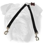 Nylon Coupler Leash for 2 English Bulldogs