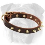 English Bulldog Spiked Leather Collar | Stylish Design