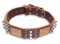 Spike Brown collar 27'' for English Bulldog 27 inch dog collar