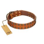 "Terra-cotta" FDT Artisan Tan Leather English Bulldog Collar with Two Rows of Studs