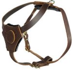 Lightweight Walking and Training Leather English Bulldog Harness for Puppies