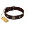 "Magic Stones" FDT Artisan Brown Leather English Bulldog Collar with Chrome Plated Brooches and Studs