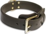 Leather Black collar 24'' Engl.Bulldog /24 inch dog collar-c33nh
