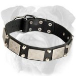 Leather English Bulldog Collar Decorated with Nickel Plates and Studs
