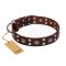 "Pirate Treasure" FDT Artisan Exciting Brown Leather English Bulldog Collar with Studs