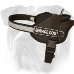 Service Reflective Nylon English Bulldog Harness with ID Patches