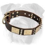 Gorgeous War Leather Dog Collar - Massive Brass Plates+3 Spikes
