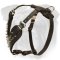 Chic Leather English Bulldog Harness with Riveted Spikes