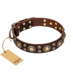 'Flower Melody' FDT Artisan Brown Leather English Bulldog Collar with Mixed Studs