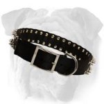 English Bulldog Nylon Collar | Nickel Plated Spikes