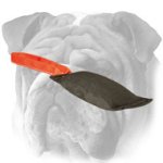 Leather Bite Tug For English Bulldog with Soft Handle