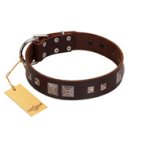 "Object of Virtu" FDT Artisan Brown Leather English Bulldog Collar with Old Silver-like Square Studs and Pyramids
