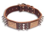 Spike Brown collar 27'' for English Bulldog 27 inch dog collar