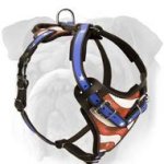 Fashion American Flag Leather Harness for English Bulldog