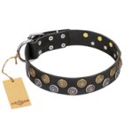 "Romantic Breeze" FDT Artisan Black Leather English Bulldog Collar with Riveted Circles