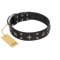 "Star Excitement" Modern FDT Artisan Black Leather English Bulldog Collar with Studs and Stars