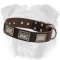 Wide Leather English Bulldog Collar with Nickel Plates