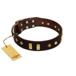 "Blinking Illusion" FDT Artisan Brown Leather English Bulldog Collar with Old Bronze-like Studs and Plates