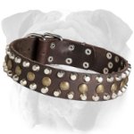 Functional Leather English Bulldog Collar with Brass Studs and Nickel Pyramids