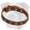 Perfect Studded Leather Collar for English Bulldog Puppy
