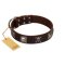 "Nut-Brown Finery" Embellished FDT Artisan Brown Leather English Bulldog Collar with Chrome Plated Crossbones and Plates