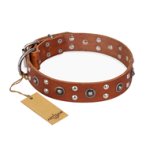"Silver Elegance" FDT Artisan Decorated Leather English Bulldog Collar with Old Silver-Like Plated Studs and Cones