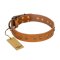 "Autumn Story" FDT Artisan Leather English Bulldog Collar with Old Bronze Look Studs