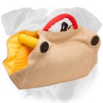 English Bulldog Jute Bite Builder for Puppies and Young Dogs