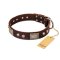 "Pirate Skull" FDT Artisan Brown Leather English Bulldog Collar with Old Silver Look Plates and Skulls
