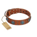 "Blue Sands" FDT Artisan Tan Leather English Bulldog Collar with Silver-like Studs and Round Conchos with Stones