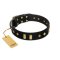 "De Luxe" FDT Artisan Black Leather English Bulldog Collar with Old Bronze-like Plates and Studs