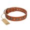 "Natural Beauty" FDT Artisan Tan Leather English Bulldog Collar with Shining Silver-like Studs