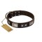 "Satin Beauts" FDT Artisan Brown Leather English Bulldog Collar with Stars and Plates