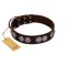 "High and Mighty" FDT Artisan Classy Brown Leather English Bulldog Collar with Embellished Brooches