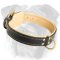 Royal Nappa Padded Leather Collar for English Bulldog