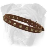 Stylish Leather Collar With Brass Studs