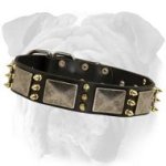 Spiked Leather English Bulldog Collar with Plates