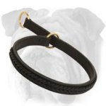 Braided Leather Choke Collar for English Bulldog