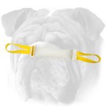 Fire Hose English Bulldog Bite Tug with 2 Handles