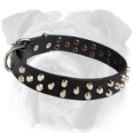 Adjustable English Bulldog Studded Leather Collar