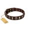 "Skull's Adventure" FDT Artisan Brown Leather English Bulldog Collar with Plates and Ovals