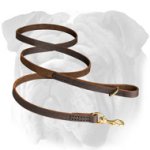 Premium Quality Genuine Leather Leash for English Bulldog