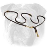 Walking Leather English Bulldog Leash