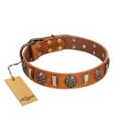 "Strike of Rock" FDT Artisan Tan Leather English Bulldog Collar with Plates and Medallions with Skulls