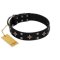 "Snappy Dresser" FDT Artisan Black Leather English Bulldog Collar Adorned with Stars and Tiny Squares