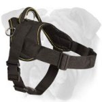 Lightweight Nylon Harness for English Bulldog