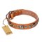 "Era of Future" FDT Artisan Handcrafted Tan Leather English Bulldog Collar with Decorations
