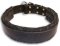 English Bulldog Padded Black collar 22'' /22 inch dog collar