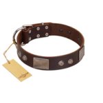 "Stone Stars" Stylish Handmade FDT Artisan Brown Leather English Bulldog Collar